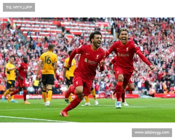 英超比赛因天气原因延期 球迷期待新赛程公布时间