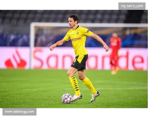 法甲最新伤停动态分析 重要球员缺阵影响深远